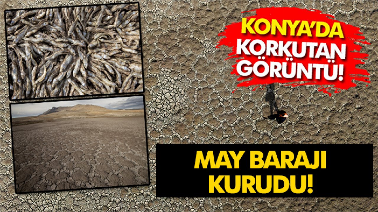 Konya'da korkutan görüntü: May Barajı kurudu!