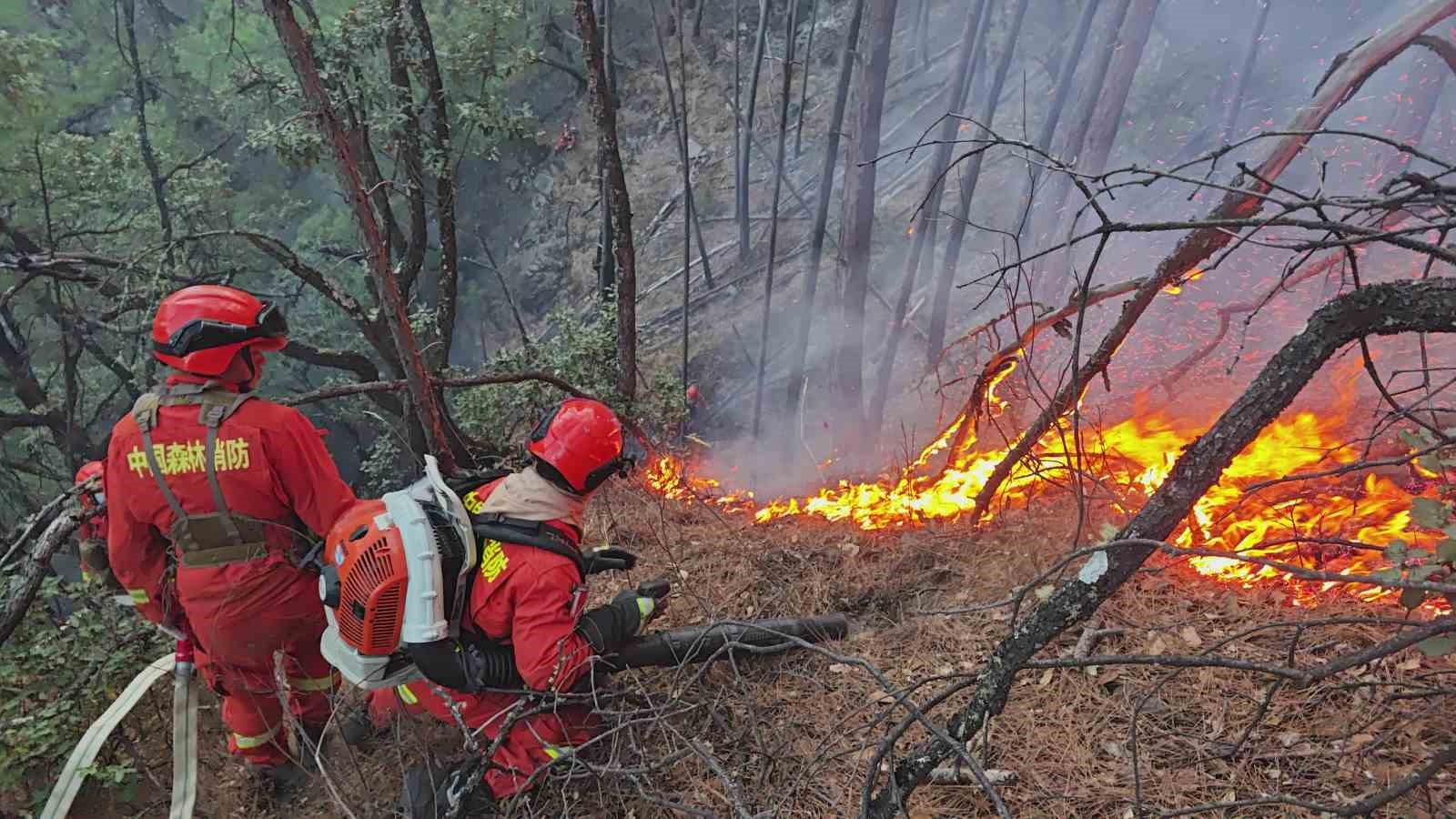 Orman yangını sebebiyle 3 bin 400 kişi tahliye edildi