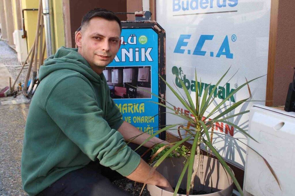 Hırsızların hedefi saksıdaki kök bitkisi oldu