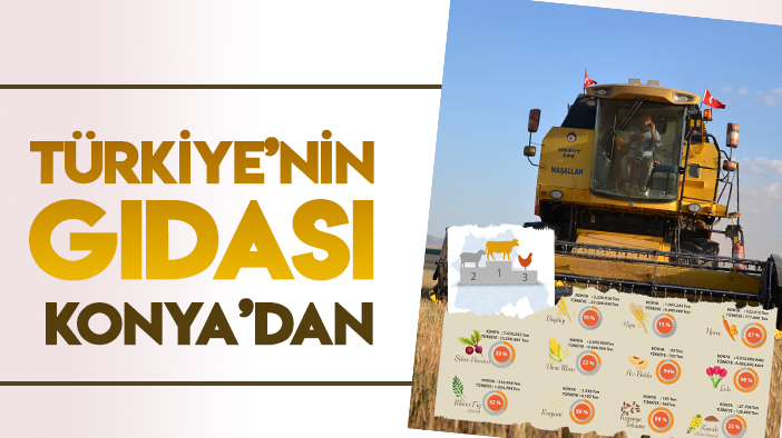 Konya tarım ve hayvancılıkta Türkiye'nin gıda üssü olmaya devam ediyor