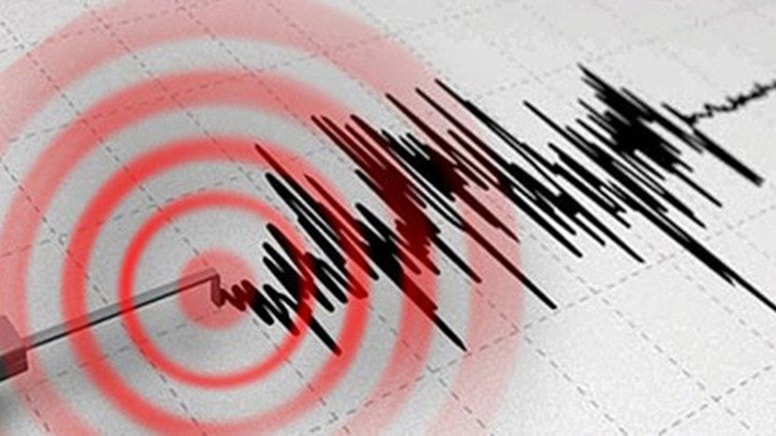 Ardahan'da 4.6 şiddetinde deprem