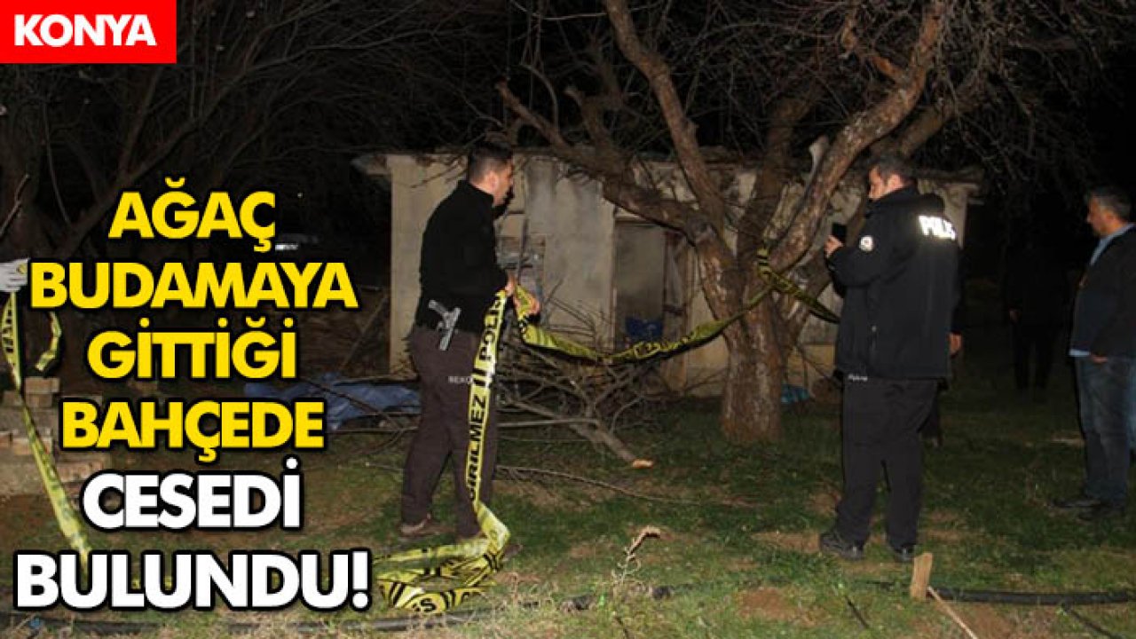 Konya'da ağaç budamaya gittiği bahçede cesedi bulundu!