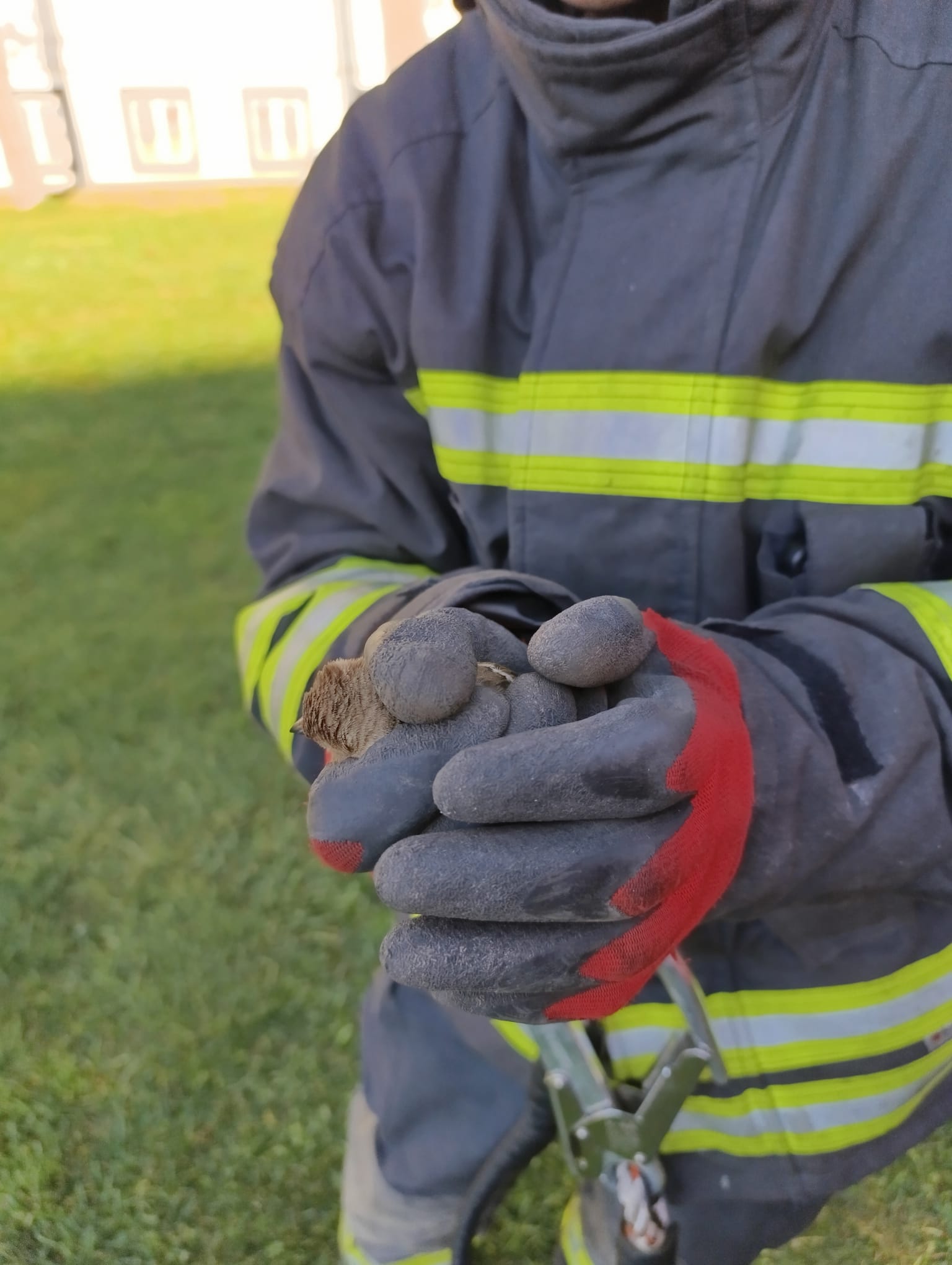 Kahramanlar kurtarmada: Konya'da itfaiye ekipleri asılı kalan kuşu kurtardı
