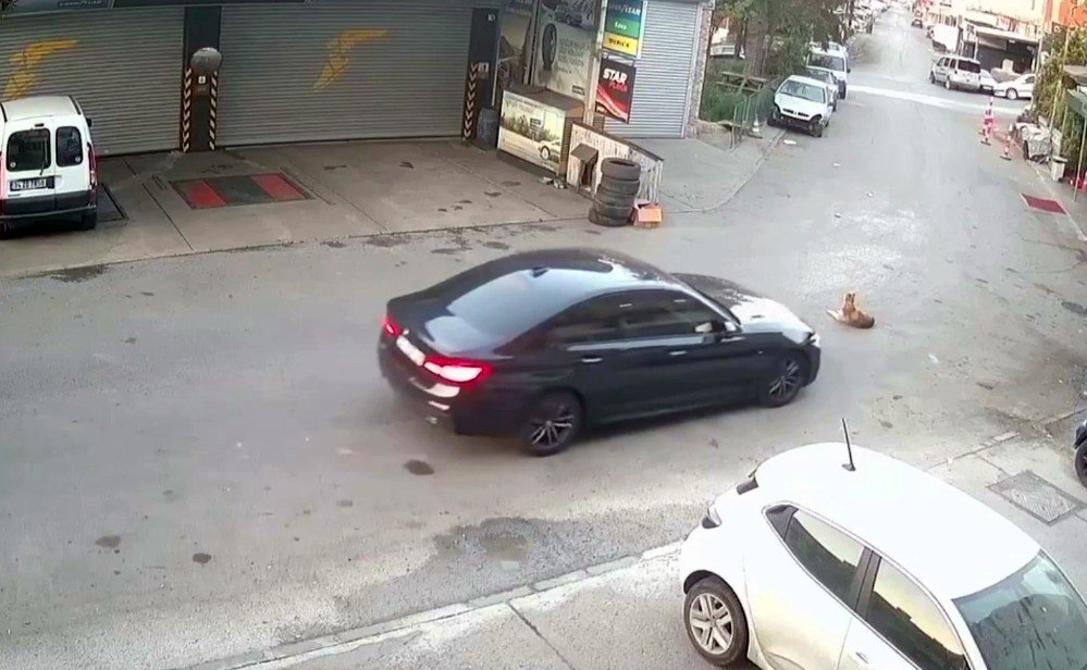 İstanbul'da otomobil yolda yatan köpeğin üzerinden hızla geçti o anlar kamerada