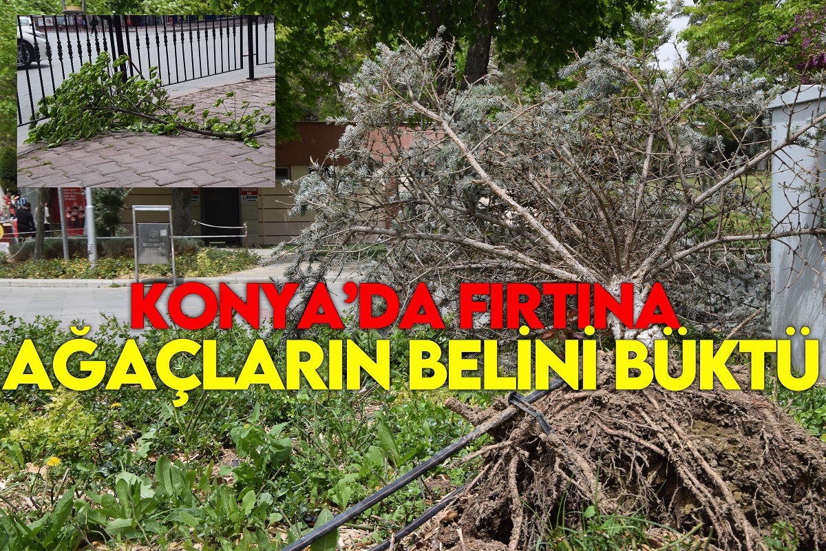 Konya'da fırtına ağaçların belini büktü