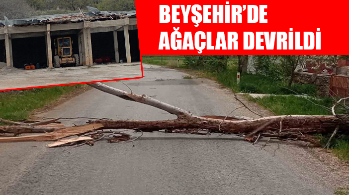 Beyşehir’de devrilen ağaç yolu kapattı