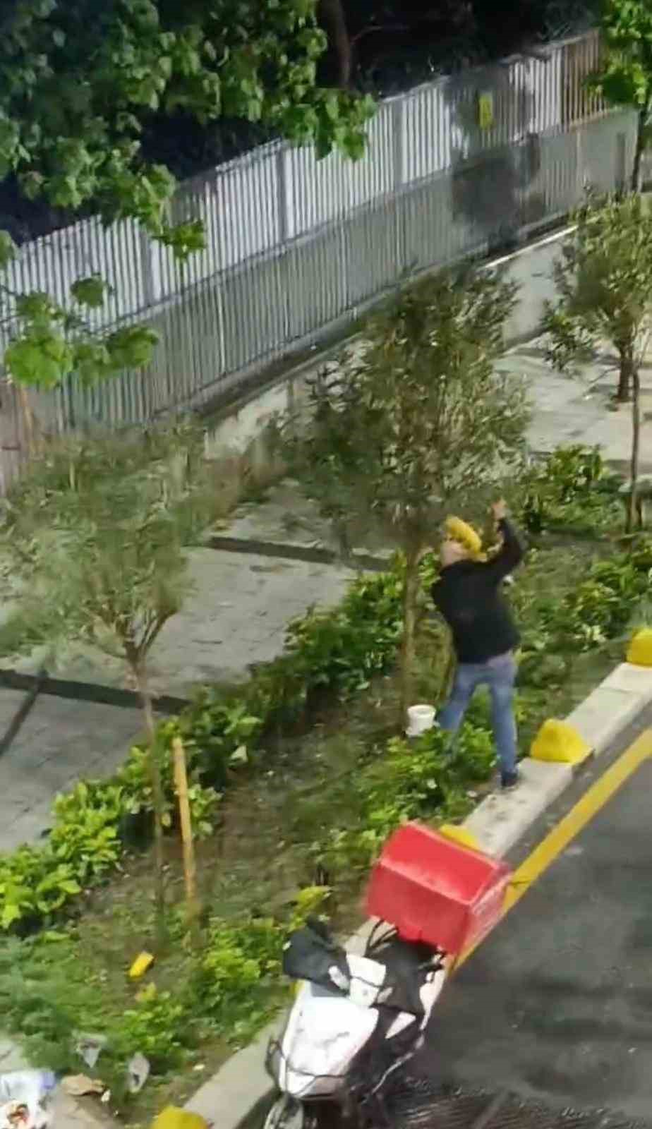 İstanbul'da önce ağaçla kavga etti, sonra sökmeye çalıştı (TIKLA&İZLE)