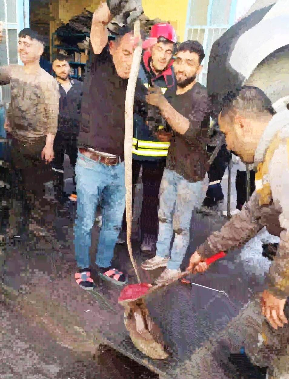 Konya'da aracın motoruna giren yılanı itfaiye çıkardı