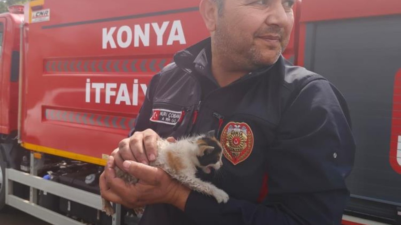 Konya'da otomobil motoruna sıkışan yavru kediyi itfaiye kurtardı