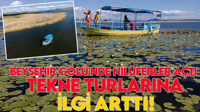 Beyşehir Gölü'nde nilüferler açtı tekne turlarına  ilgi arttı!