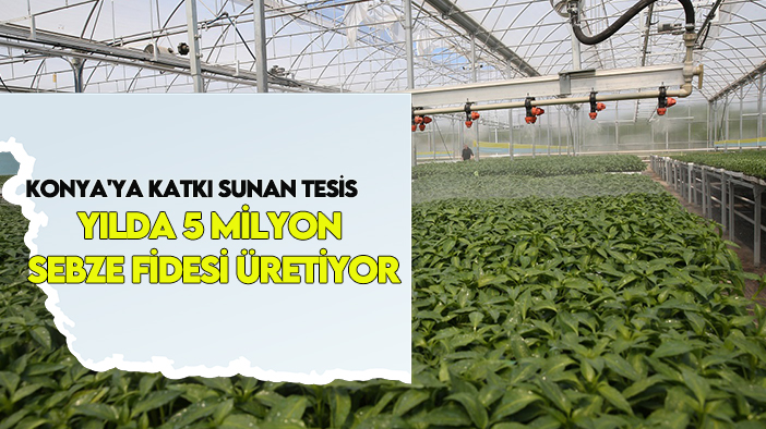 Konya'ya katkı sunan tesis yılda 5 milyon sebze fidesi üretiyor