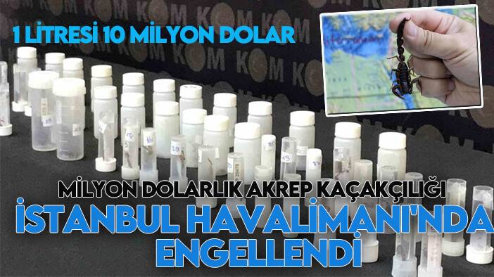 Milyon dolarlık akrep kaçakçılığı İstanbul Havalimanı'nda engellendi