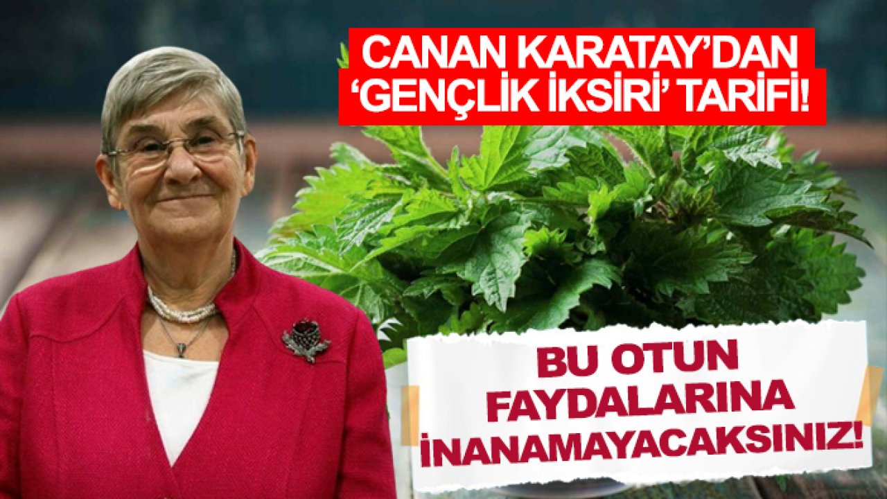 Canan Karatay’dan ‘Gençlik İksiri’ tarifi! Bu otun faydalarına inanamayacaksınız!