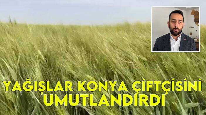 Yağışlar Konya çiftçisini umutlandırdı