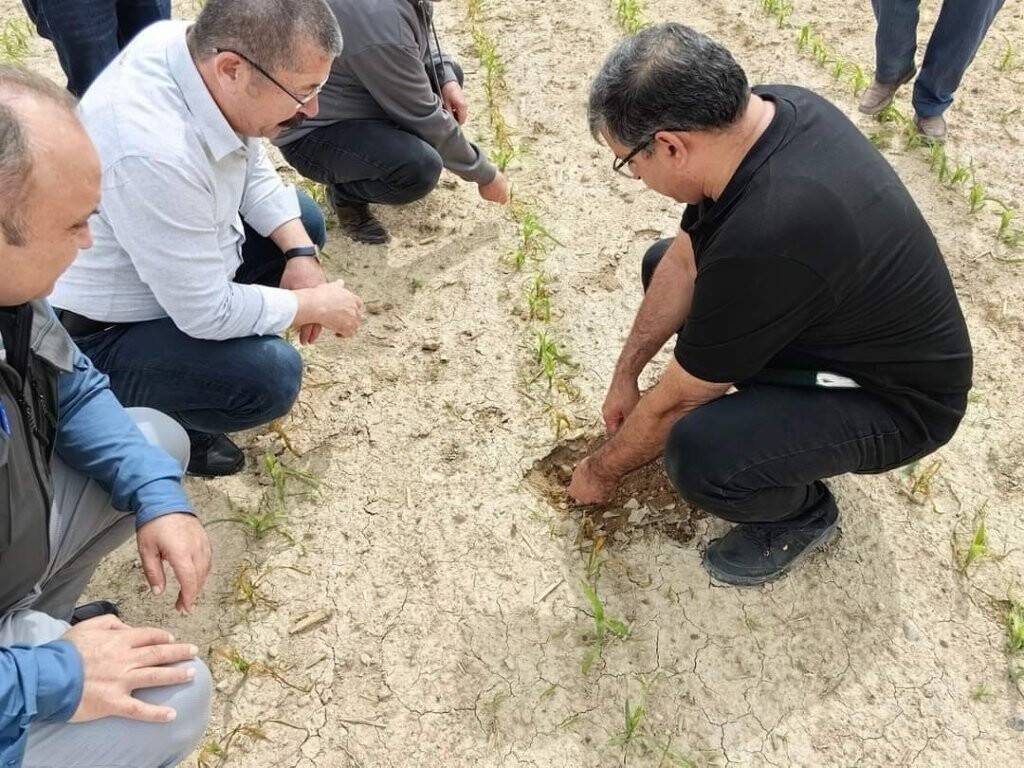 Konya’da ekili alanlarda incelemeler yapıldı