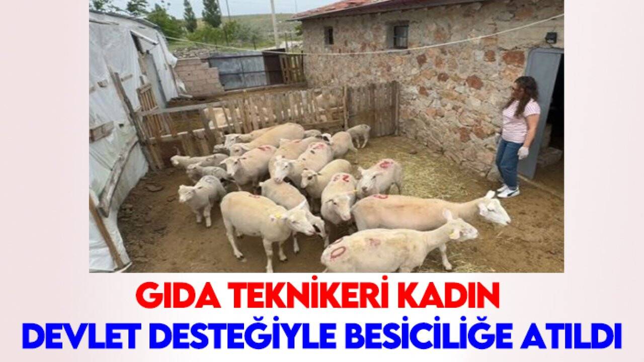 Gıda teknikeri kadın devlet desteğiyle besiciliğe atıldı