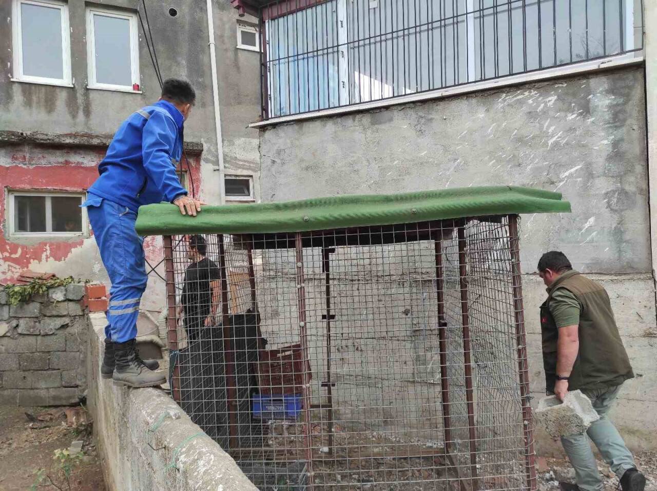 Fethiye’de piton alarmı