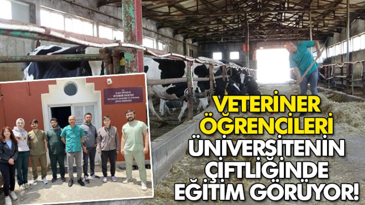 Konya'da veteriner öğrencileri üniversitenin çiftliğinde eğitim görüyor