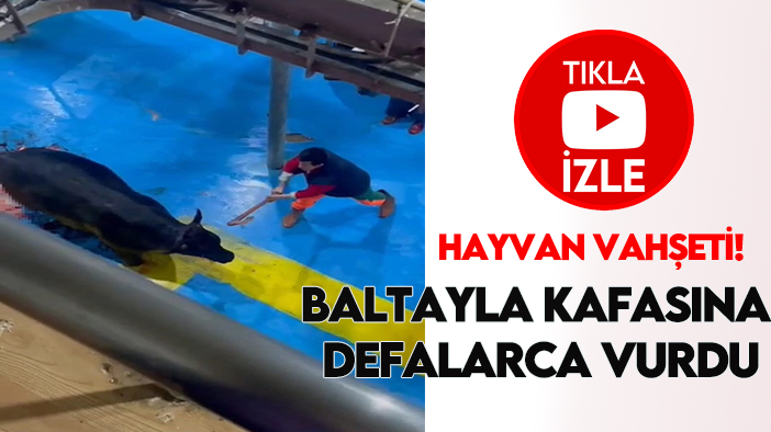 Hayvan vahşeti: Baltayla kafasına defalarca vurdu