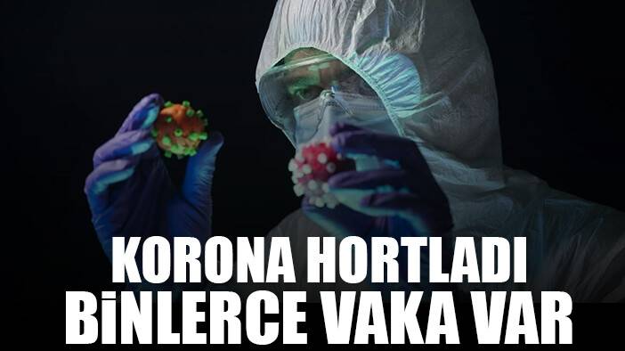 Koranavirüste yeni varyant: 2 bin vaka var