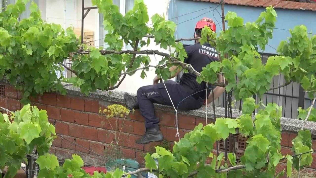 Kedi kurtarma operasyonu kamerada