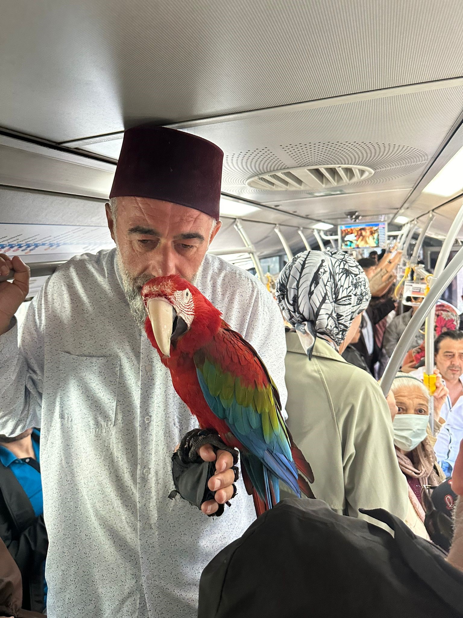 Sahibiyle metrobüse binen papağan 'Allah' diyor (VİDEOLU)