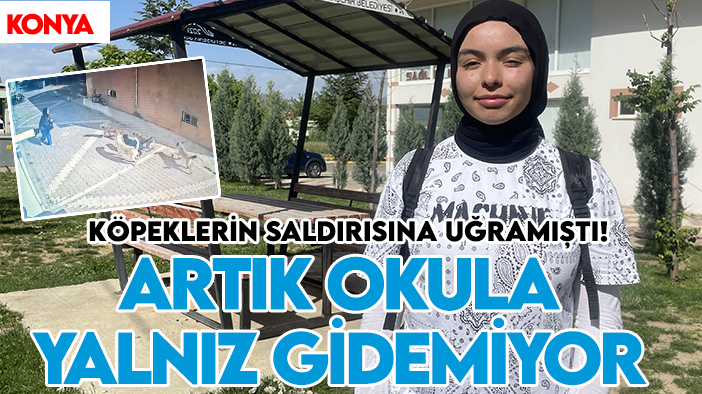 Konya'da köpeklerin saldırısına uğramıştı! Artık okula tek başına gidemiyor