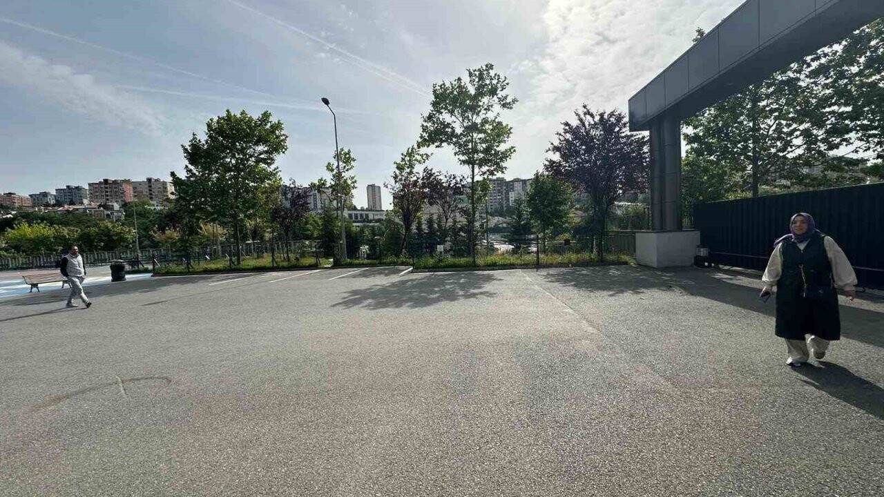 İstanbul'da okul bahçesinde beslenen köpekler, bir öğrenciye saldırdı