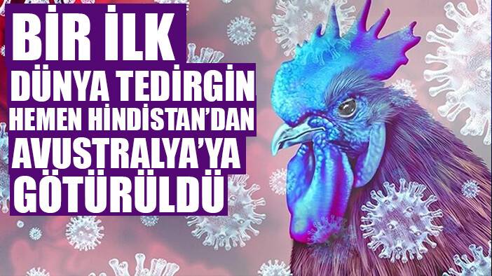 Korkulan oldu! İlk kez bir insana bulaştı!