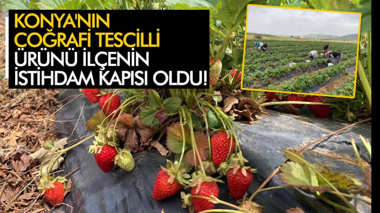 Konya'nın coğrafi tescilli ürünü ilçenin istihdam kapısı oldu!