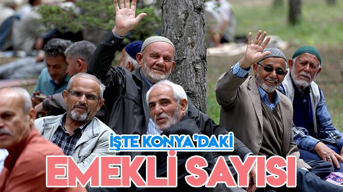 Türkiye'de kaç milyon emekli var? Konya'da kaç emekli yaşıyor? En çok emeklinin yaşadığı şehirler