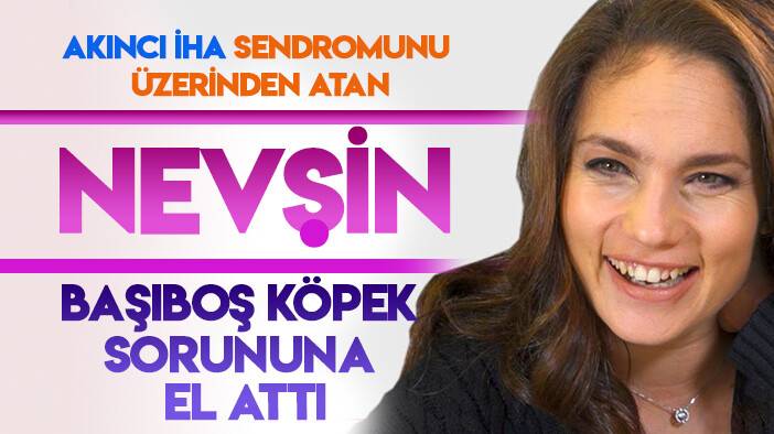Akıncı İHA sendromunu üzerinden atıp köpek sorununa el atan Nevşin Mengü'ye Mehmet Ali Önel'den görüntülü yanıt
