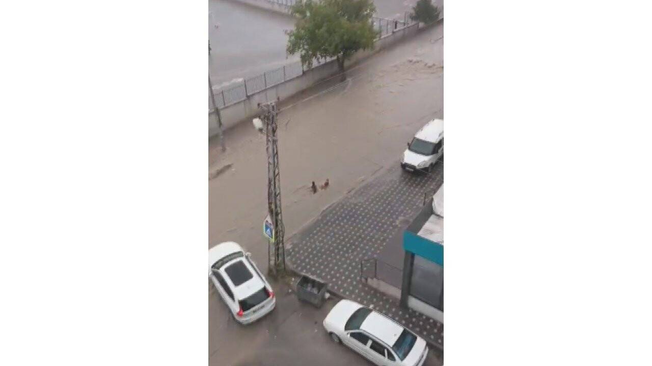 Başkentte sele kapılan iki çocuk çevredekiler tarafından kurtarıldı