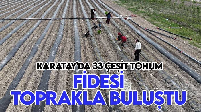 Karatay'da 33 çeşit tohum fidesi toprakla buluştu