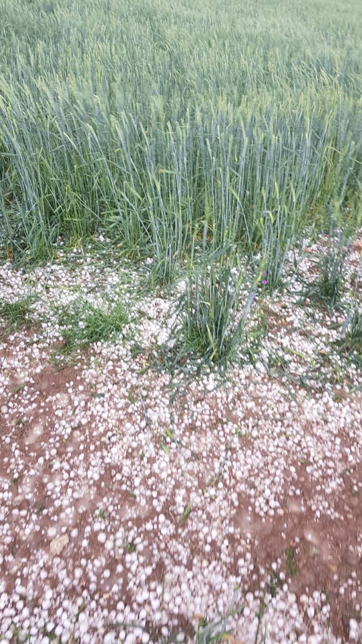 Yaman: Dolu zararı karşılansın