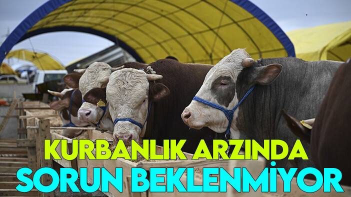 Kurban Bayramı yaklaşıyor: Kurbanlık arzında sorun beklenmiyor