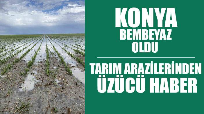 Konya'da ekili araziler dakikalar içinde bembeyaz oldu