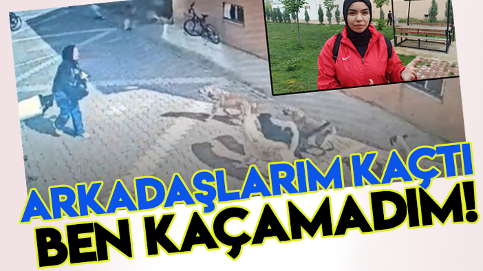 Konya'da başıboş köpeklerin saldırısına uğramıştı: Korku dolu anları anlattı