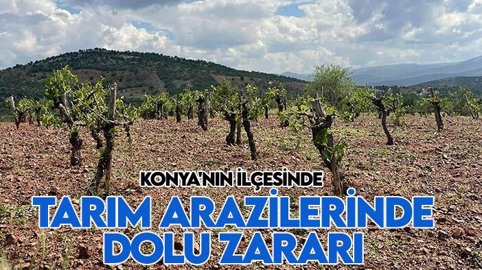 Konya'nın ilçesinde tarım arazilerinde dolu zararı
