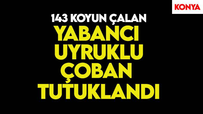 Konya'da 143 koyun çalan yabancı uyruklu çobana tutuklama