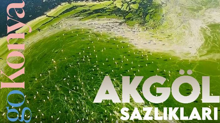goKonya: Akgöl Sazlıkları / The Reeds of Akgöl