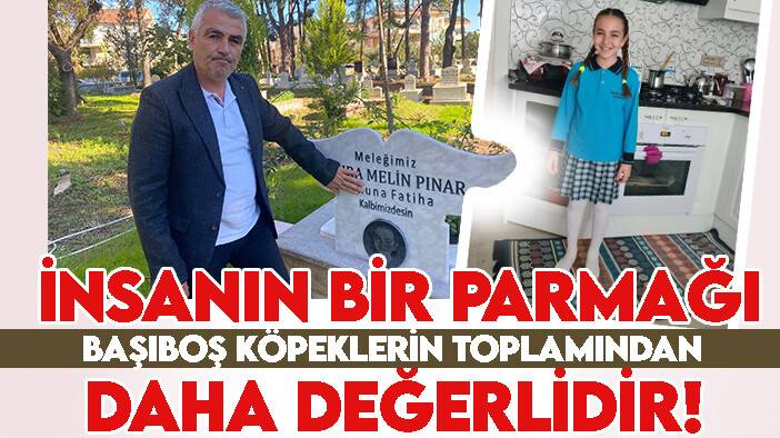 Mahra'nın babası: "Bir insanın parmağı, başıboş köpeklerin toplamından daha değerlidir!"