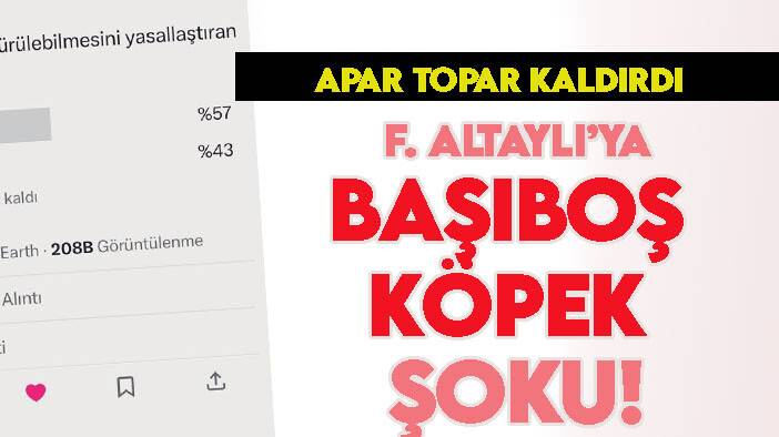 Köpek lobiliciliğine soyunan Fatih Altaylı'ya "anket" şoku!