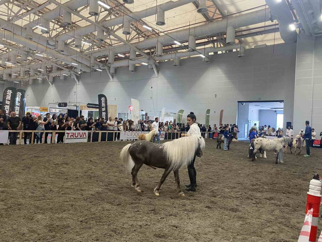 At kalp krizi geçirerek öldü