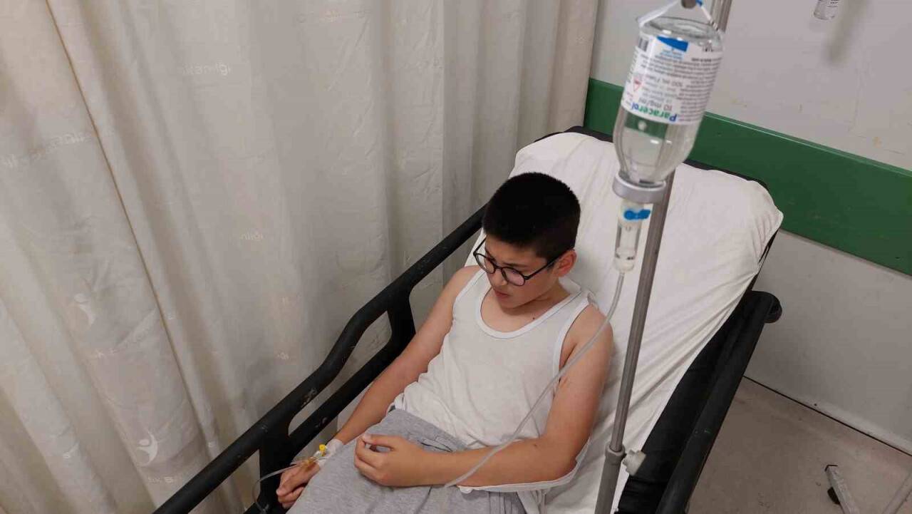 Sokak köpeklerinin saldırdığı çocuk hastanelik oldu