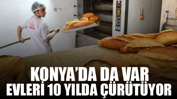 Konya'da da çok var! Binayı 10 yılda eritiyor aman dikkat!