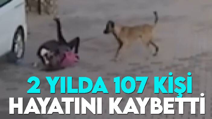Türkiye'de son 2 yılda 107 kişi köpek saldırılarında hayatını kaybetti