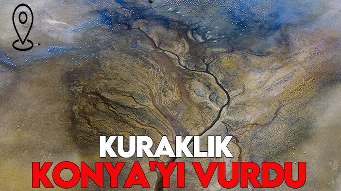 Kuraklık Konya'yı vurdu: Kuş cenneti yok oluyor!