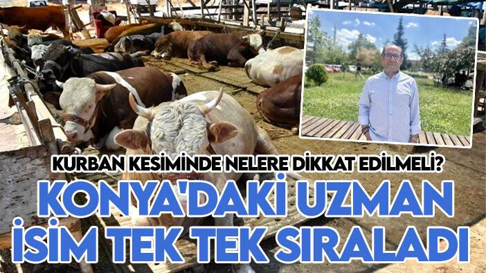 Kurban kesiminde nelere dikkat edilmeli? Konya'daki uzman isim tek tek sıraladı