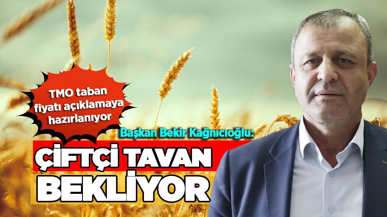 Buğday taban fiyatı ne kadar olacak? İşte beklenen rakam!